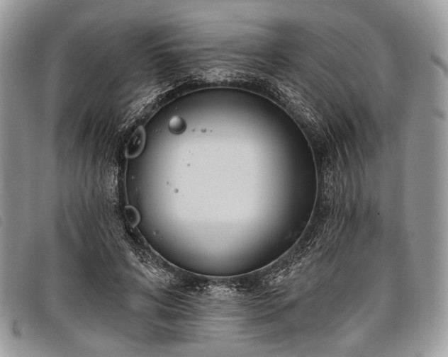 X0000098050592200804071510