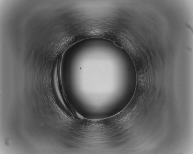 X0000098050593200804071510