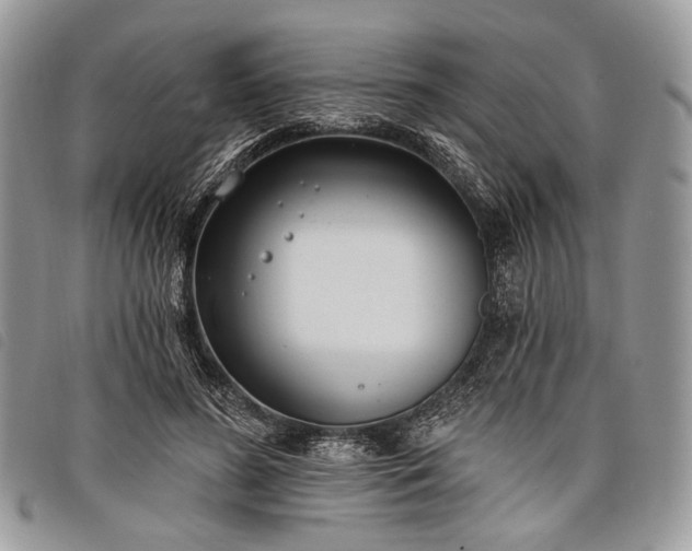 X0000098050596200804071509