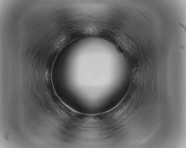 X0000098050597200804071509