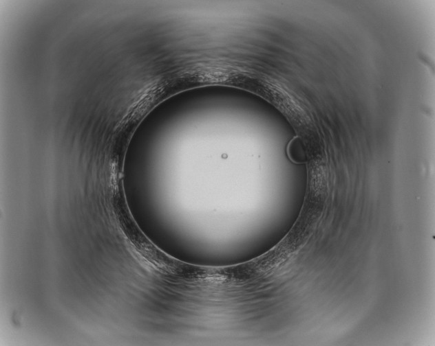 X0000098050598200804071509