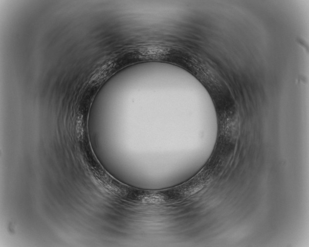 X0000098050599200804071509