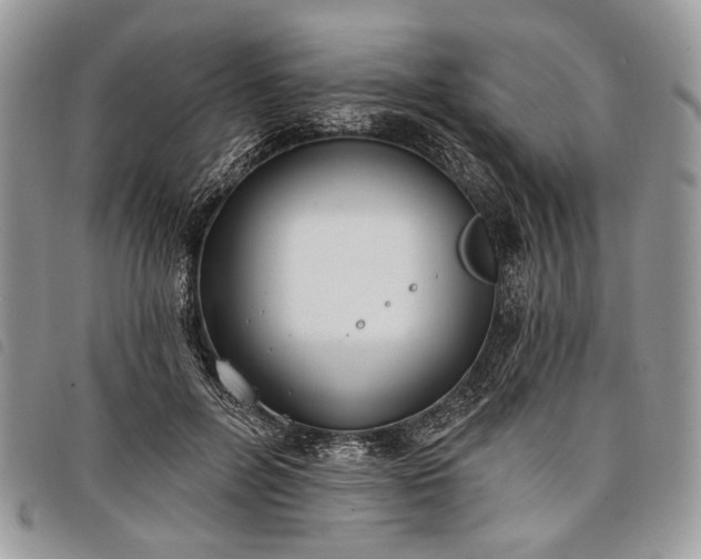 X0000098050600200804071509