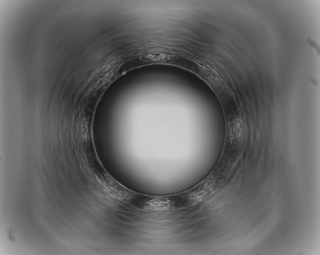 X0000098050606200804071509