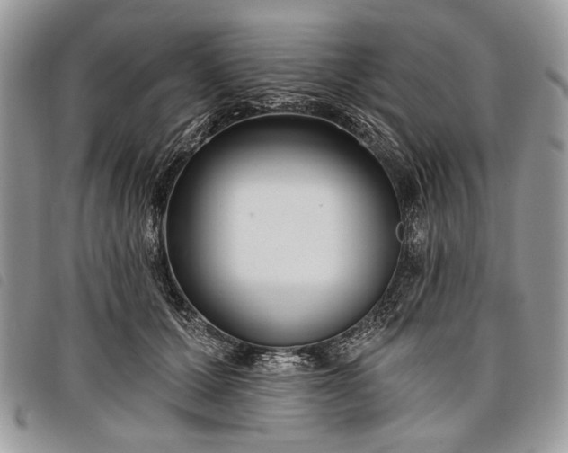 X0000098050607200804071509