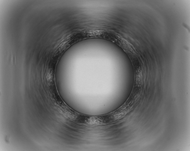 X0000098050608200804071509