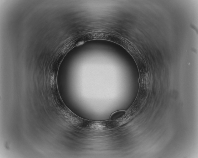 X0000098050610200804071509