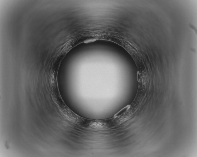 X0000098050611200804071509