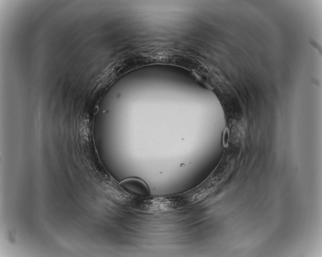 X0000098050612200804071509