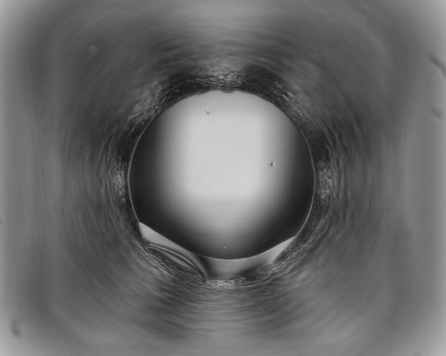 X0000098050613200804071509