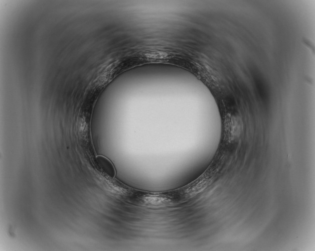 X0000098050614200804071509