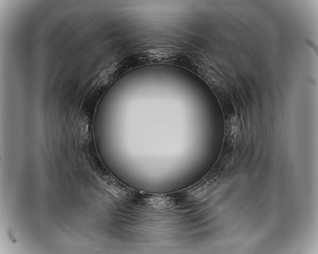 X0000098050615200804071509