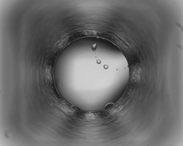 X0000098050616200804071509