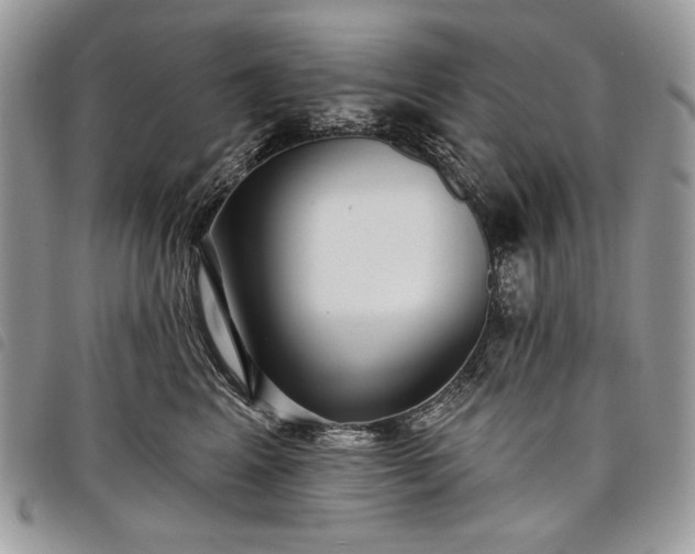 X0000098050617200804071509