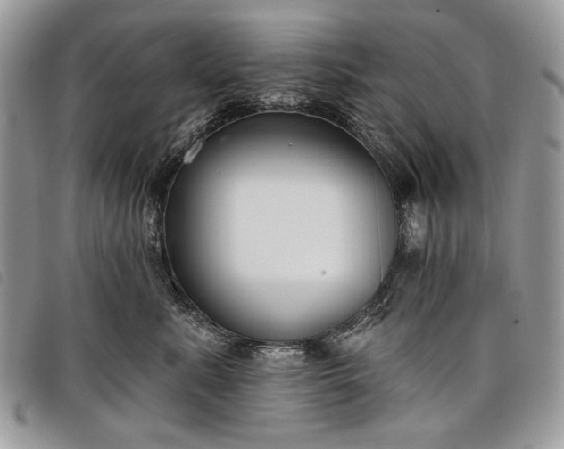 X0000098050619200804071509