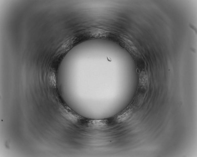 X0000098050622200804071509