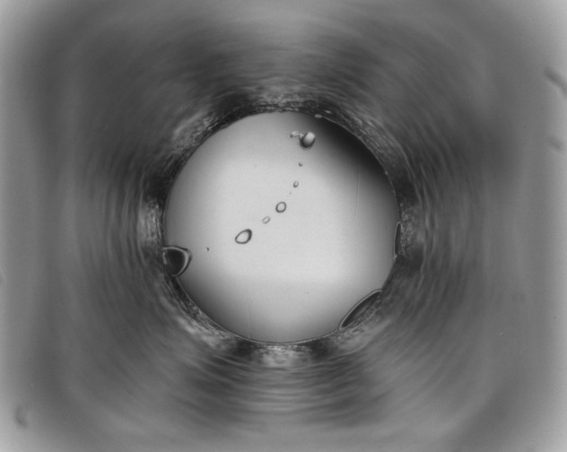 X0000098050623200804071509