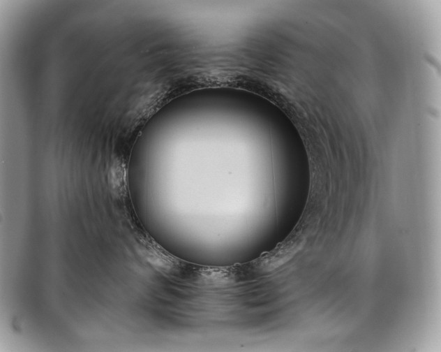 X0000098050624200804071509