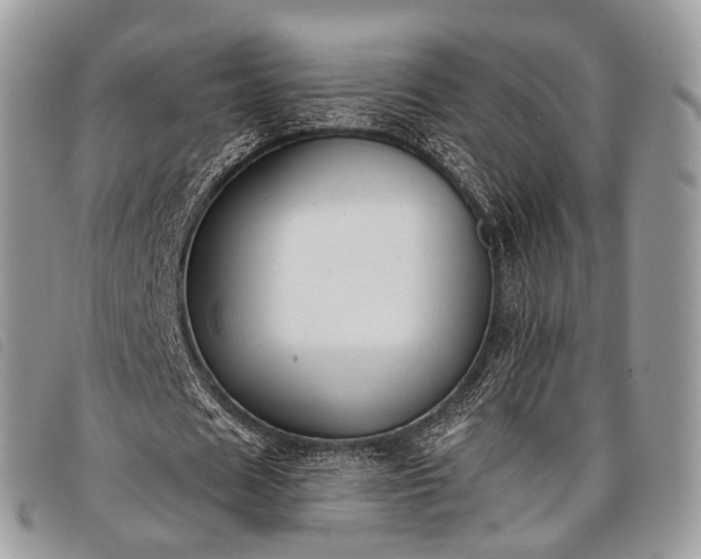 X0000098050625200804071508