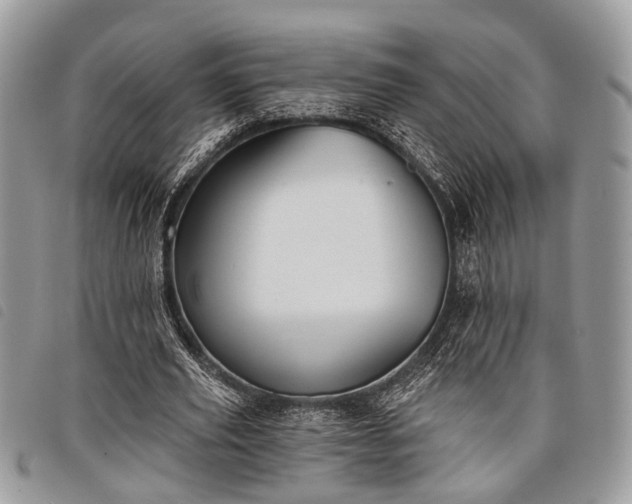 X0000098050629200804071508