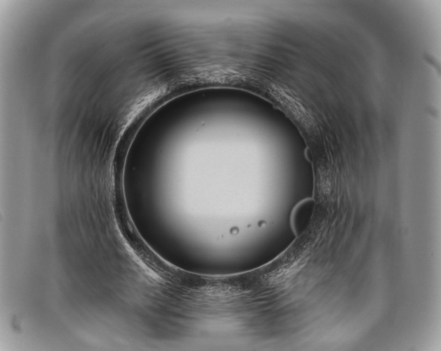 X0000098050630200804071508