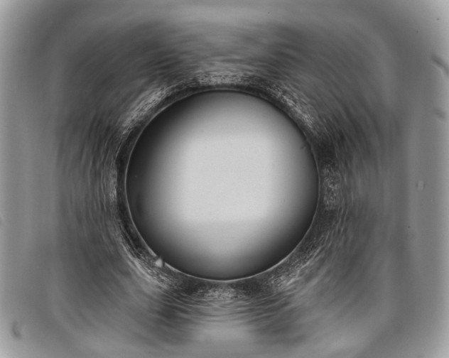 X0000098050631200804071508