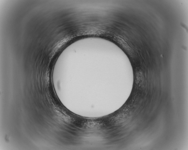 X0000098050632200804071508