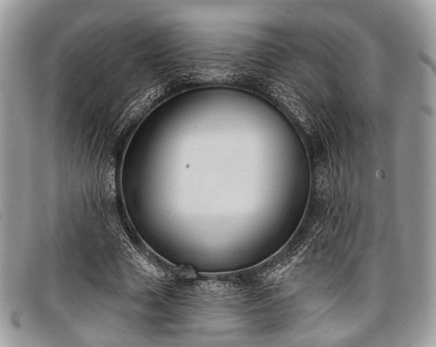 X0000098050633200804071508