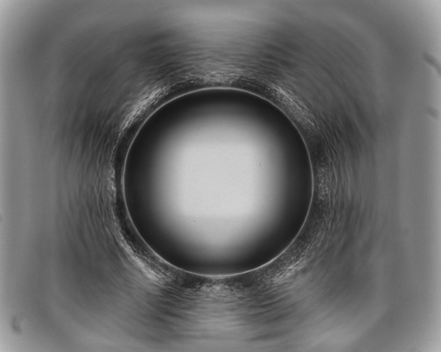 X0000098050634200804071508