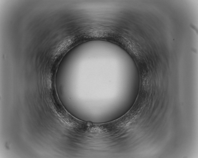 X0000098050635200804071508