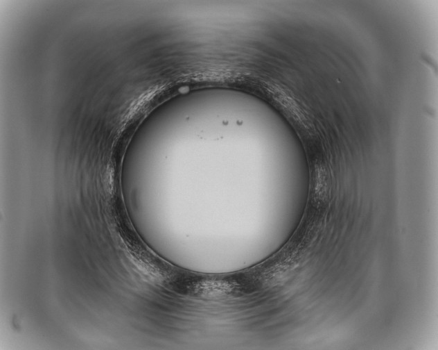 X0000098050636200804071508