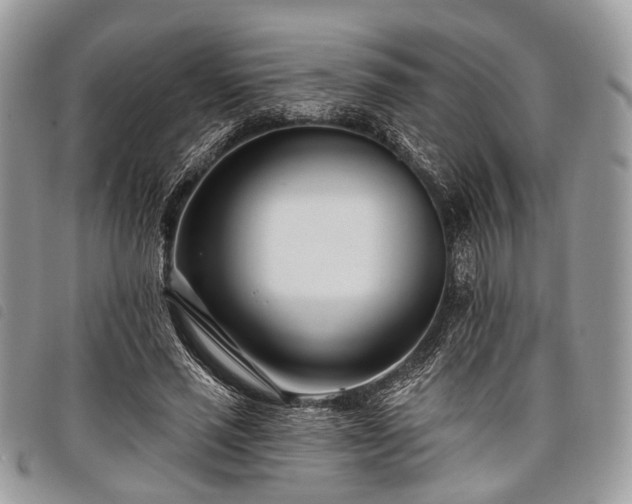 X0000098050637200804071508