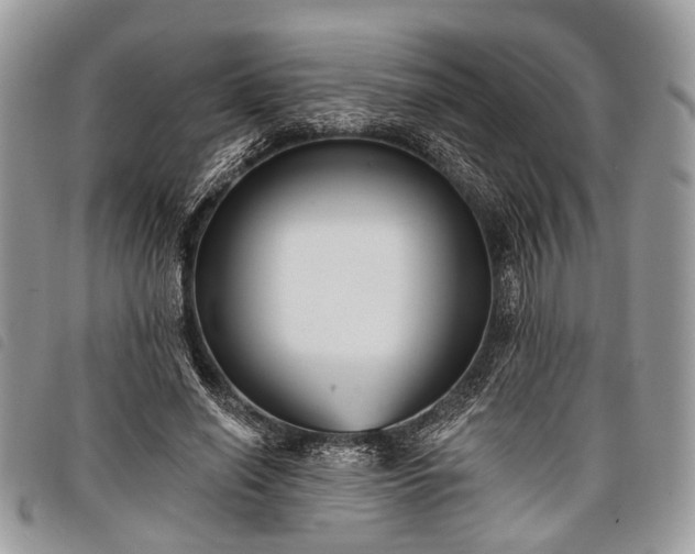 X0000098050638200804071508