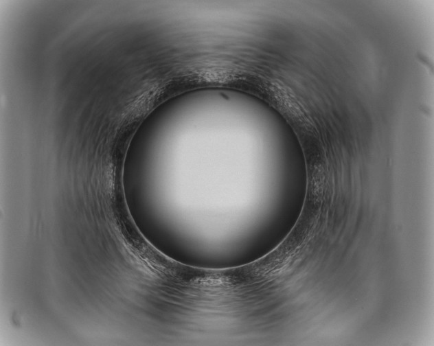 X0000098050639200804071508