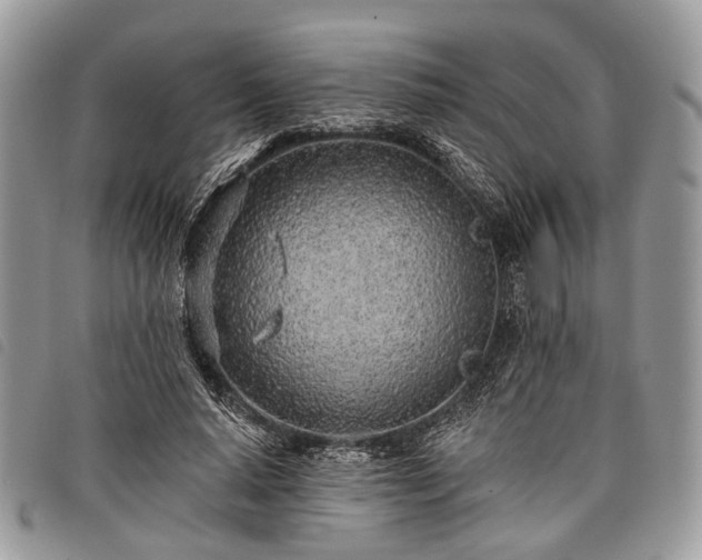 X0000098050640200804071508