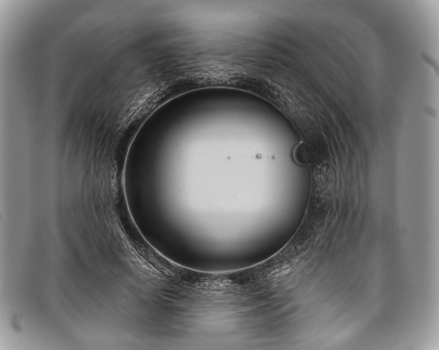 X0000098050642200804071509