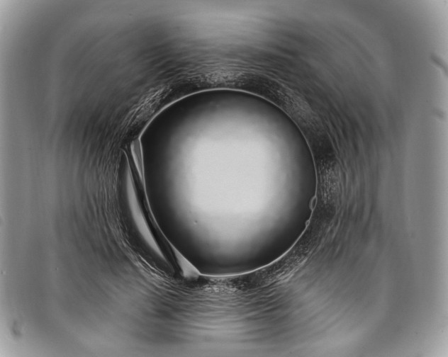 X0000098050644200804071509