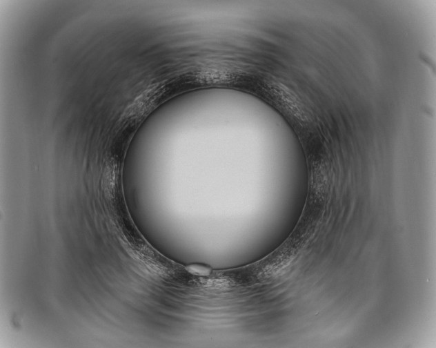 X0000098050645200804071509