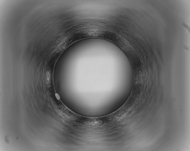 X0000098050646200804071509