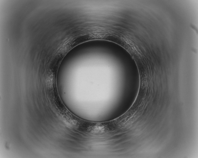 X0000098050647200804071509