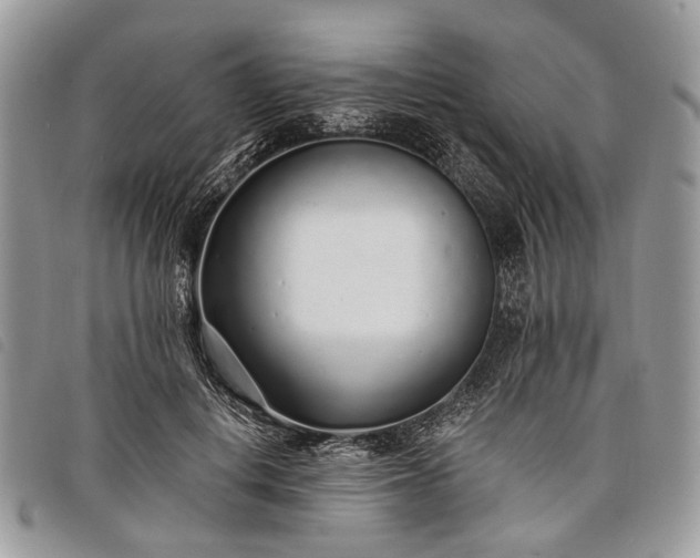 X0000098050648200804071509