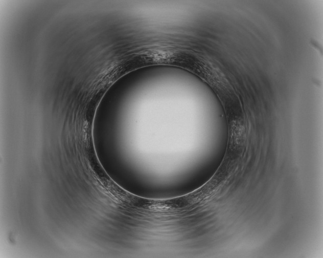 X0000098050650200804071509