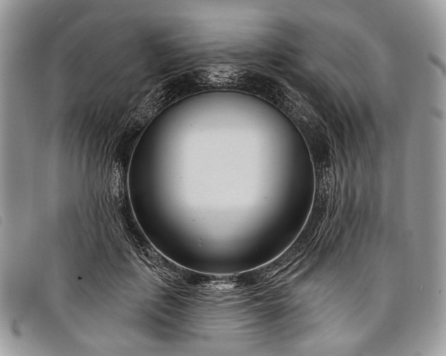 X0000098050651200804071509