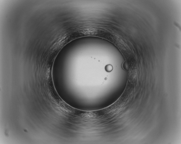 X0000098050652200804071509