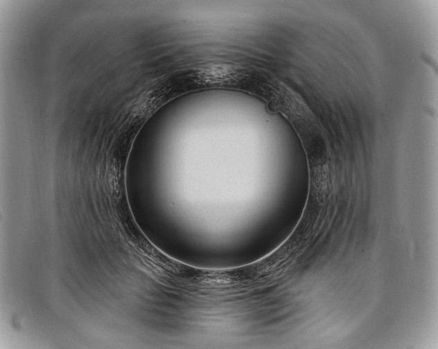 X0000098050653200804071509