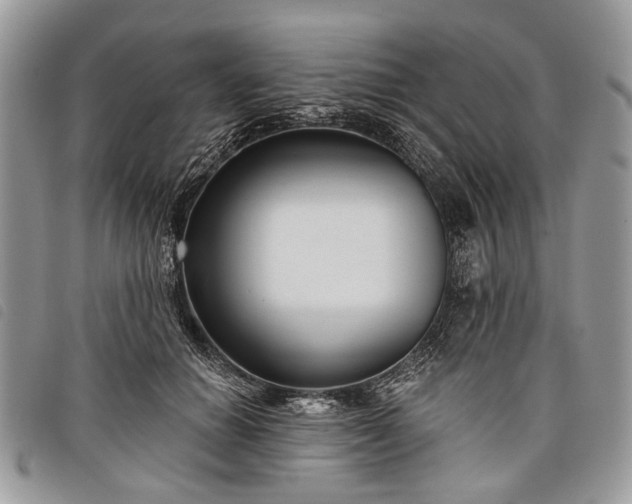 X0000098050654200804071509