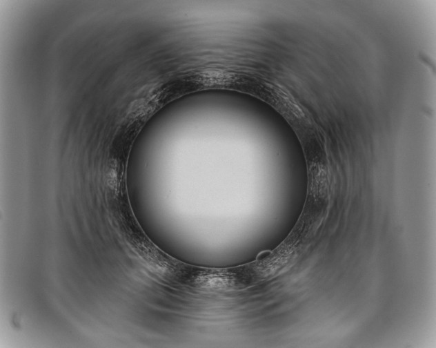 X0000098050655200804071509