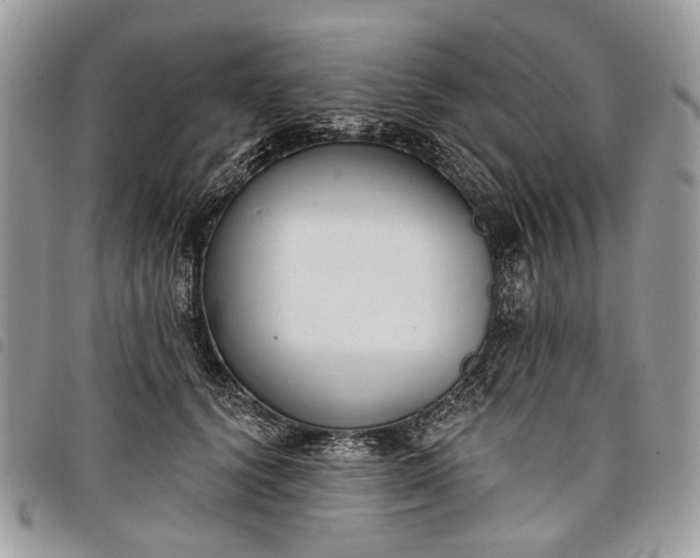 X0000098050656200804071509