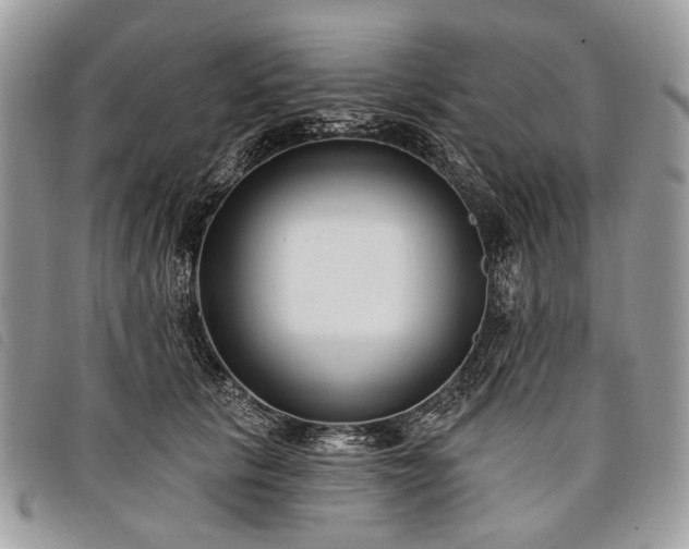 X0000098050657200804071509