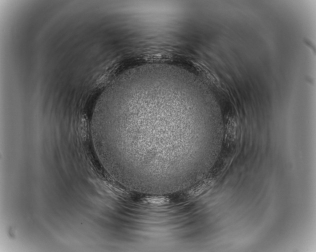 X0000098050659200804071509